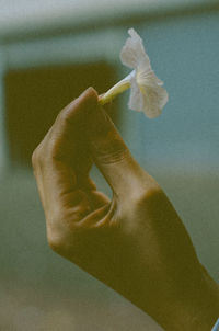 Close-up of human hand