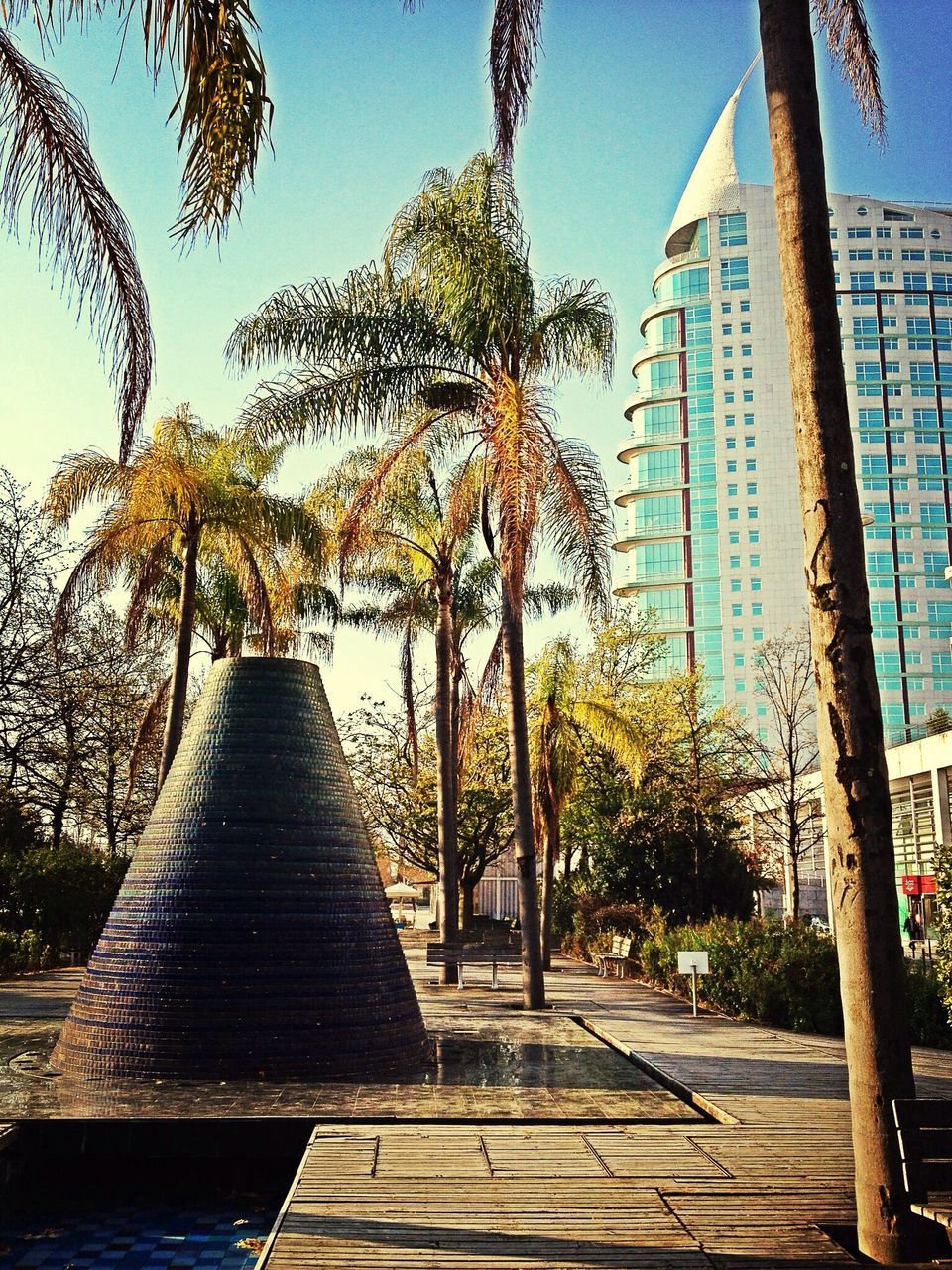 architecture, built structure, building exterior, tree, blue, sunlight, clear sky, shadow, growth, sky, low angle view, day, city, building, palm tree, the way forward, outdoors, sunny, footpath, no people