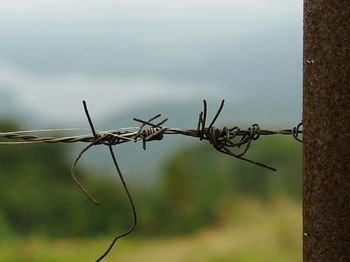 Close-up of barbed wire against sky