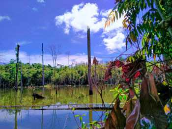 Scenic view of lake against sky