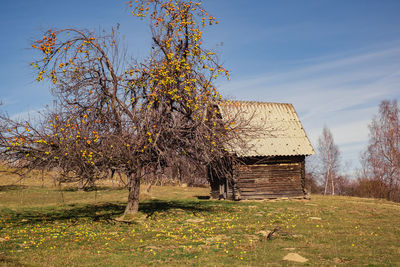 Romanian old chalet in the fall season, fantanele village, sibiu county, cindrel mountains, romania
