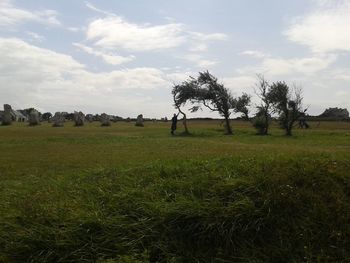 Scenic view of grassy field against sky