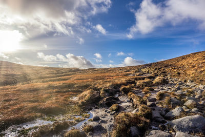 Scenic view of landscape against sky