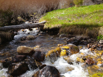 River flowing through rocks