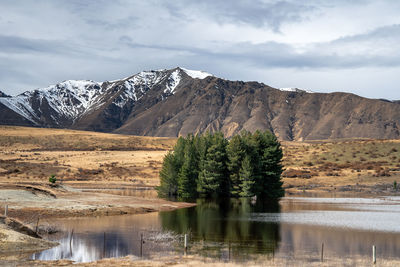 Scenic view of lake tekapo east bank. beautiful view driving along the lilybank road in lake tekapo.