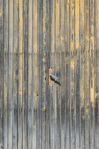 Full frame shot of old wooden door