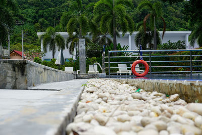 Surface level of stones in park