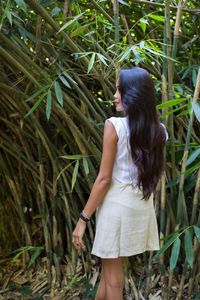 Midsection of woman standing on bamboo plant