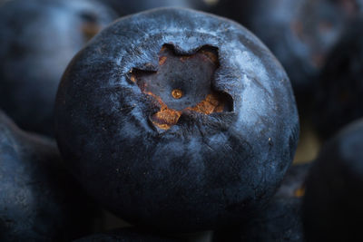 Macro photo of ripe blueberries