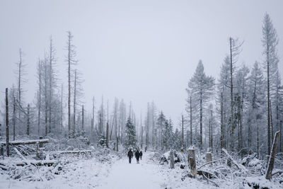 People on snow covered field against sky