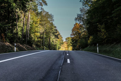 Empty road along trees