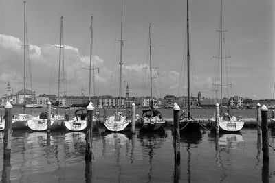 Sailboats moored in harbor against sky