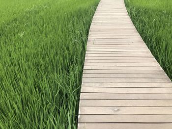 High angle view of boardwalk on field