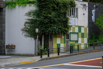 Trees and building