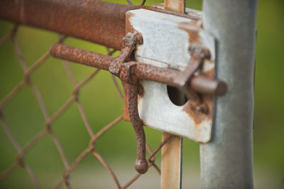 Close-up of rusty metal fence