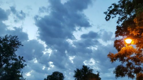 Low angle view of trees against cloudy sky