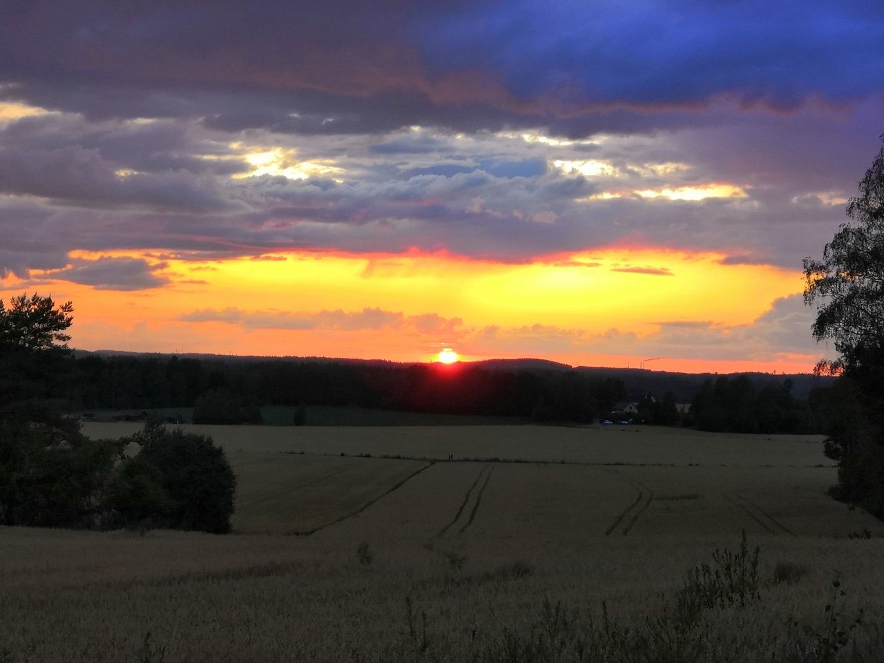 sunset, sky, cloud - sky, beauty in nature, scenics - nature, landscape, tranquil scene, tranquility, environment, orange color, plant, land, tree, field, no people, nature, rural scene, idyllic, outdoors, sun