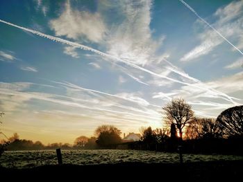 Silhouette trees on field against sky at sunset