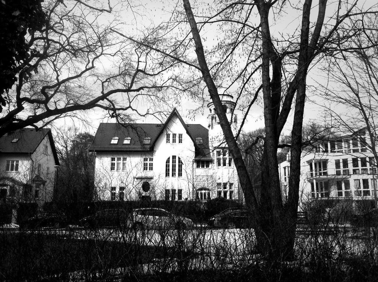 building exterior, architecture, built structure, tree, bare tree, branch, house, residential structure, window, growth, residential building, grass, sky, day, facade, outdoors, no people, building, nature, tree trunk