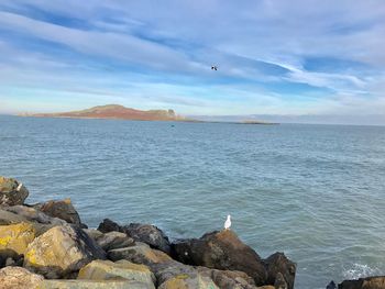 Scenic view of sea against sky