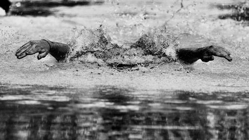 View of crab swimming in lake