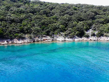 Scenic view of sea against trees