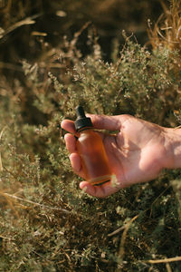 Cropped hand holding bottle over plants