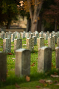 View of cross at cemetery