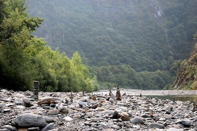 Scenic view of rocks in forest