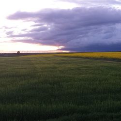 Scenic view of grassy field against cloudy sky