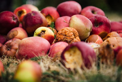 Close-up of apples