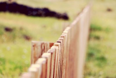 Close-up of wood