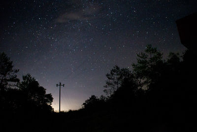 Low angle view of silhouette trees against sky at night