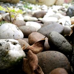 Close-up of pebbles on beach