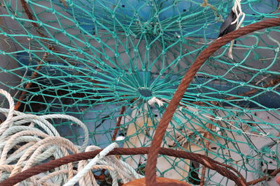 Close-up view of leaf