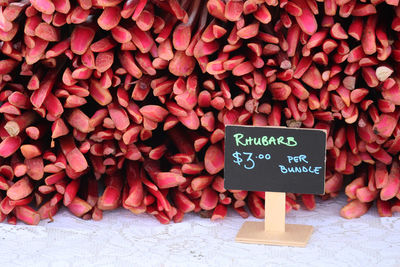 Rhubarbs for sale at market
