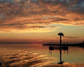 Bird nest on silhouette pole in lake against cloudy sky during sunset