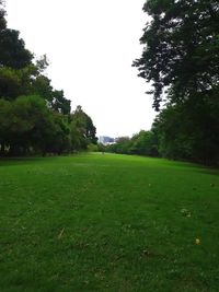 Scenic view of field against clear sky