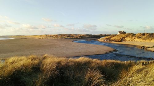 Scenic view of beach against sky