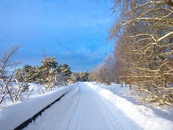 Snow covered road amidst trees against sky