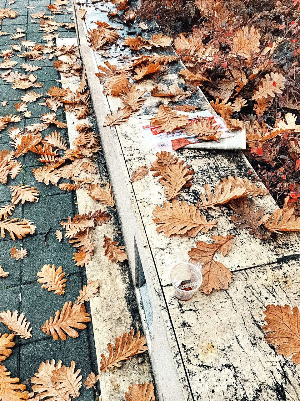 HIGH ANGLE VIEW OF DRY MAPLE LEAVES ON WOODEN FLOOR