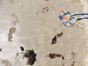 High angle view of crab on beach