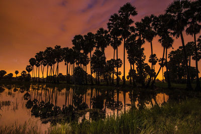 Silhouette trees by lake against sky during sunset