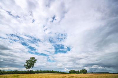 Scenic view of field against sky