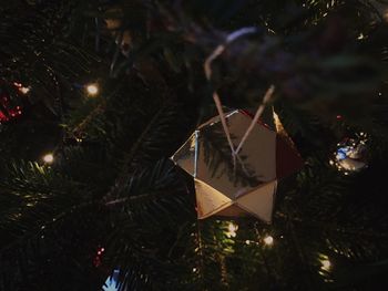 Low angle view of illuminated christmas tree at night