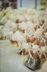 Close-up of christmas flowers