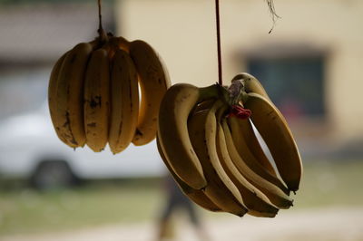 Close-up of bananas hanging for sale at market