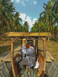 Rear view of man sitting on palm trees