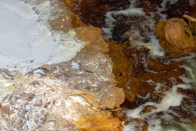 High angle view of ice cream on rock