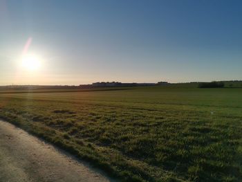 Scenic view of field against clear sky during sunset